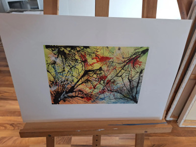 Art. 333624