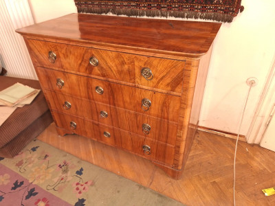 Art. 108636