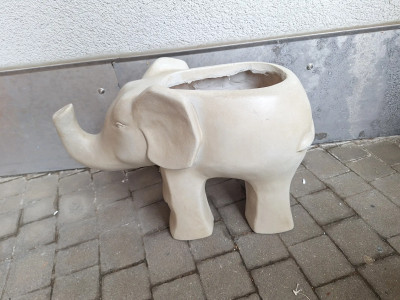 Art. 145643