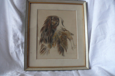 Art. 656643