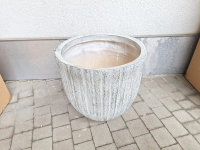 Art. 145644