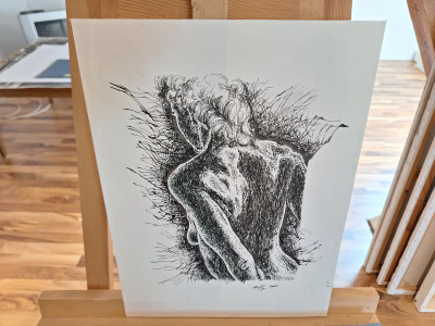 Art. 333647