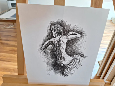 Art. 333648