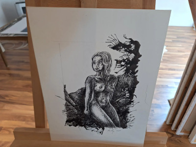 Art. 333649
