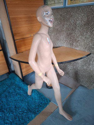 Art. 184650