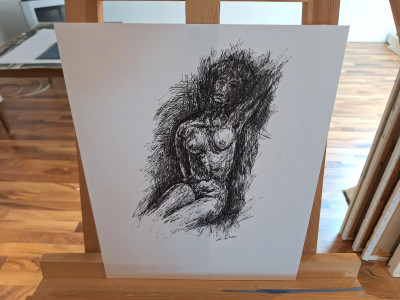 Art. 333651
