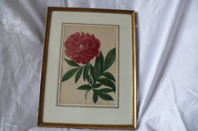 Art. 656655