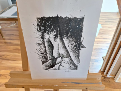 Art. 333656