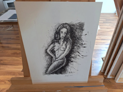 Art. 333657