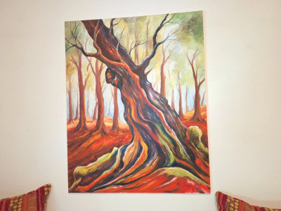 Art. 447663