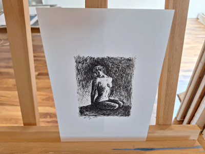 Art. 333664
