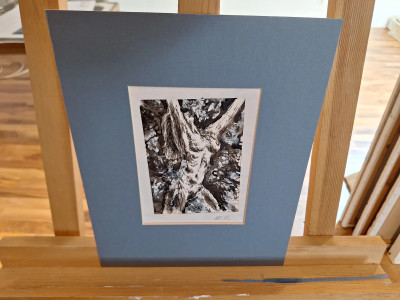 Art. 333666
