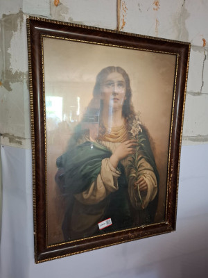 Art. 184667