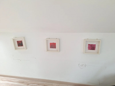 Art. 145672