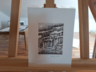 Art. 333672