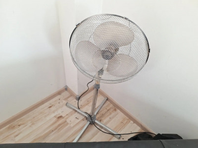 Art. 145674
