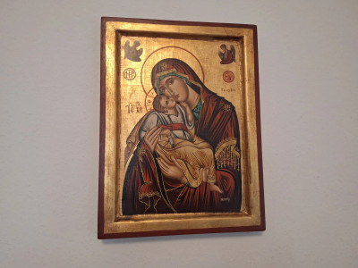 Art. 447677