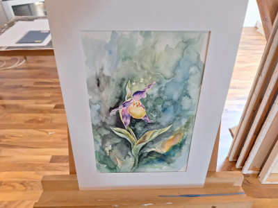 Art. 333678
