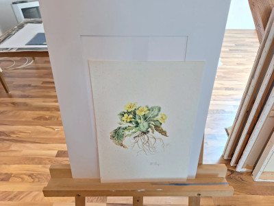 Art. 333679