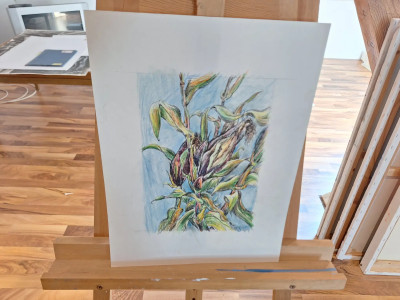 Art. 333680
