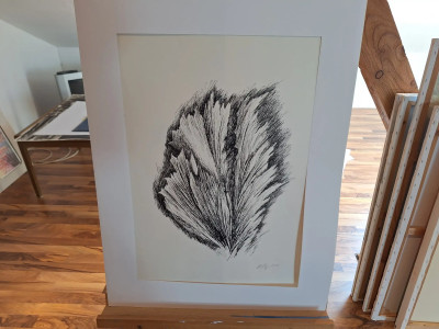 Art. 333685