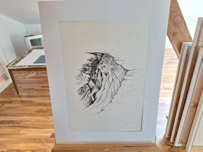 Art. 333686
