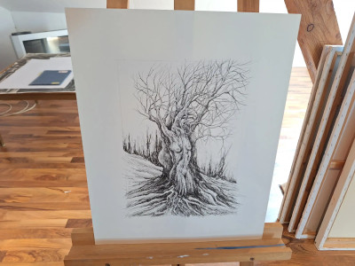 Art. 333693