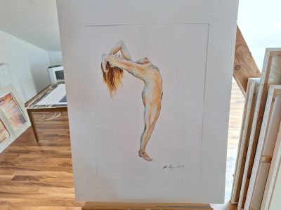 Art. 333702