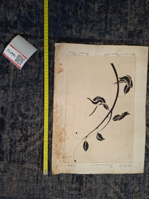 Art. 184712