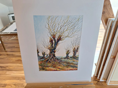 Art. 333714