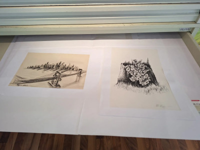 Art. 333716