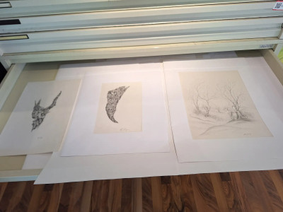Art. 333717