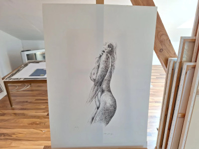 Art. 333720