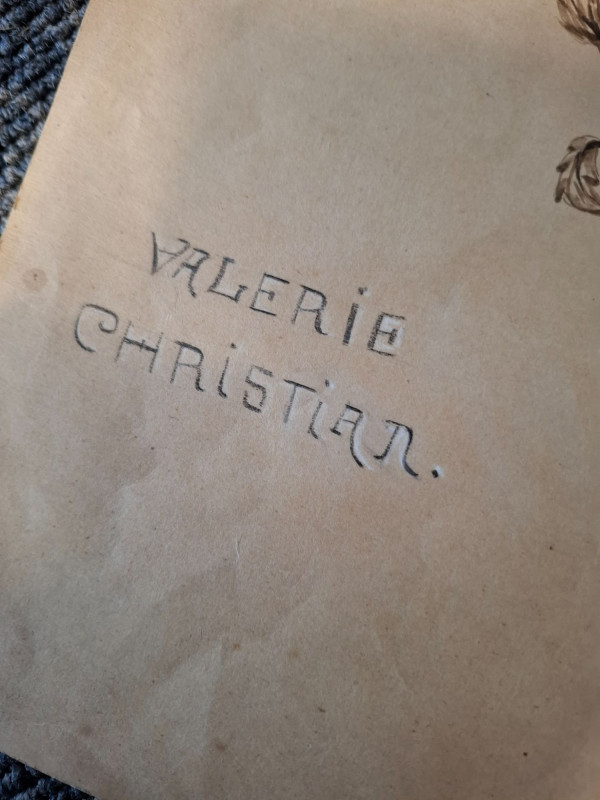 (c) ÖVG Versteigerungs GmbH