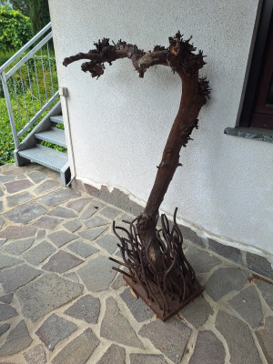 Art. 447752