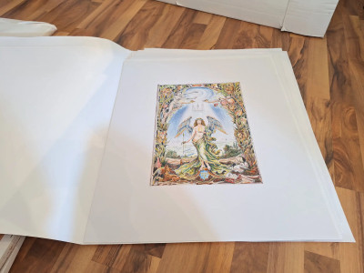 Art. 447767