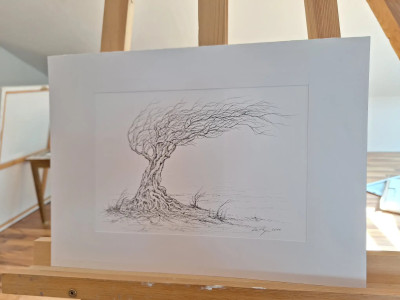 Art. 333772