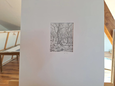 Art. 333778