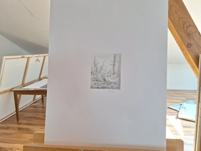 Art. 333779