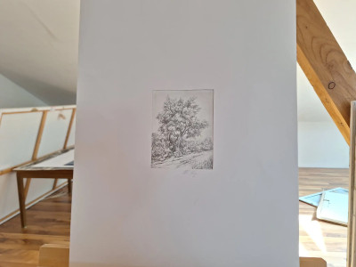 Art. 333781