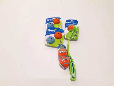 Art. 583781