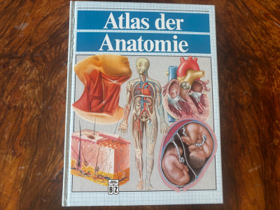 Art. 154788