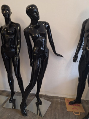 Art. 730794