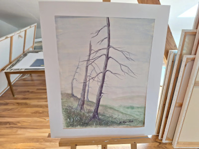 Art. 333798