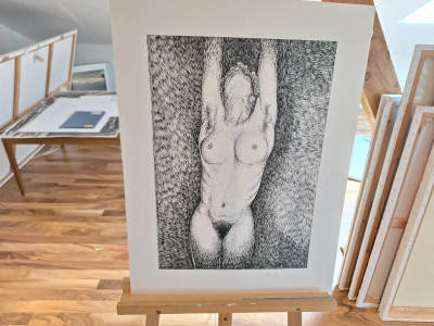 Art. 333799