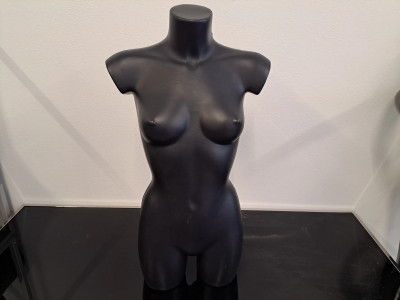Art. 730811
