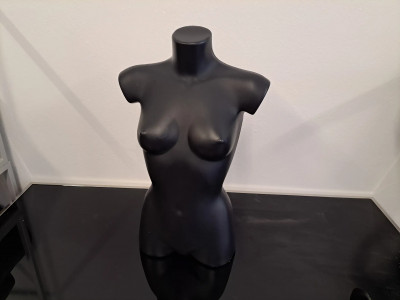 Art. 730813