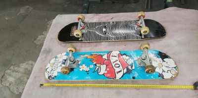 Art. 180937